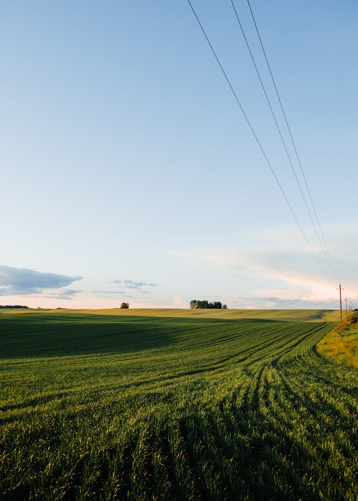 our-story A serene rural landscape with green fields under a blue sky at sunset.