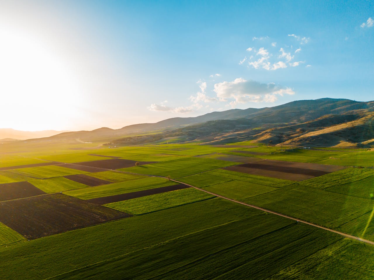 why-choose-us Expansive green fields under a vibrant sunset sky, showcasing rural beauty and tranquility.