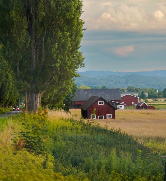 mobile-02 Charming red farmhouses nestled in a vibrant rural landscape with lush greenery and open fields.