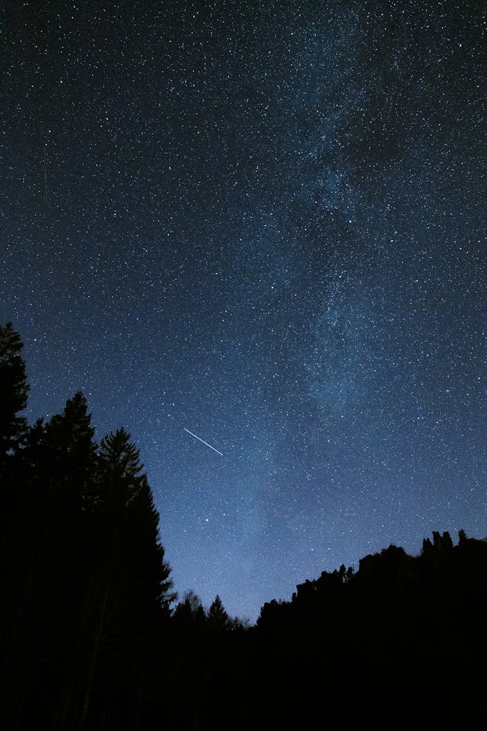 The Art of Drawing Readers In: Your attractive post title goes here A mesmerizing view of a starry night sky and Milky Way over a forest in Saxony, Germany.