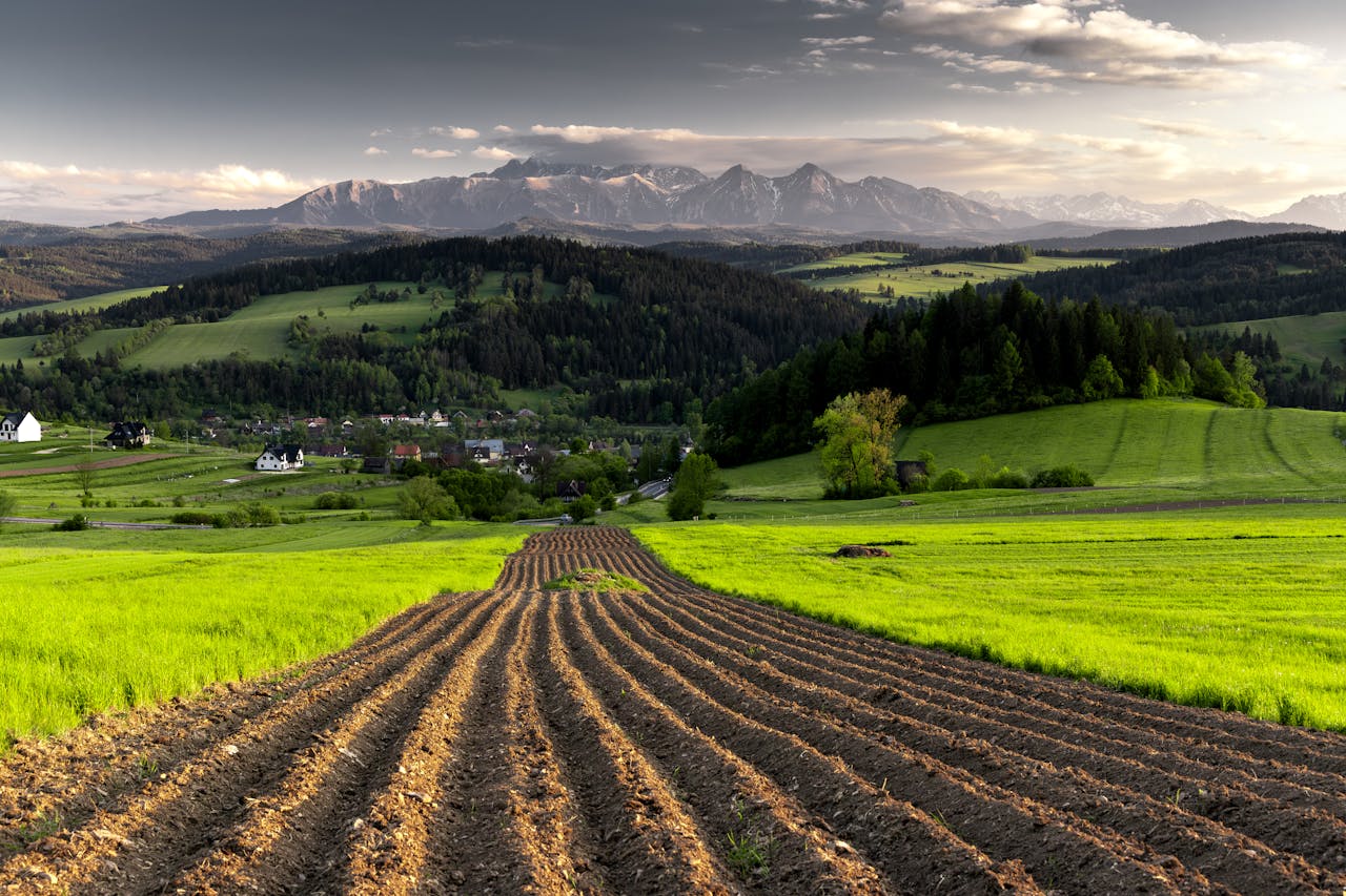 Services-01 Lush green fields with plowed rows and distant mountains under a clear sky.